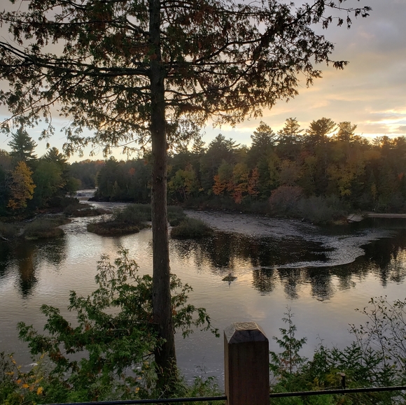 Meet your Posher🌌🌲 - Picture 1 of 16